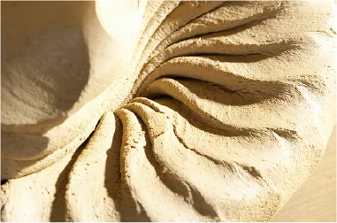 ギフト小画像 2